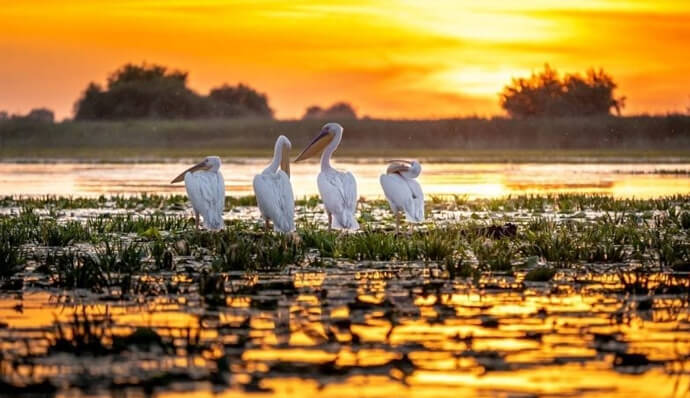 eventour-sport-delta-dunarii-vacanta-romania
